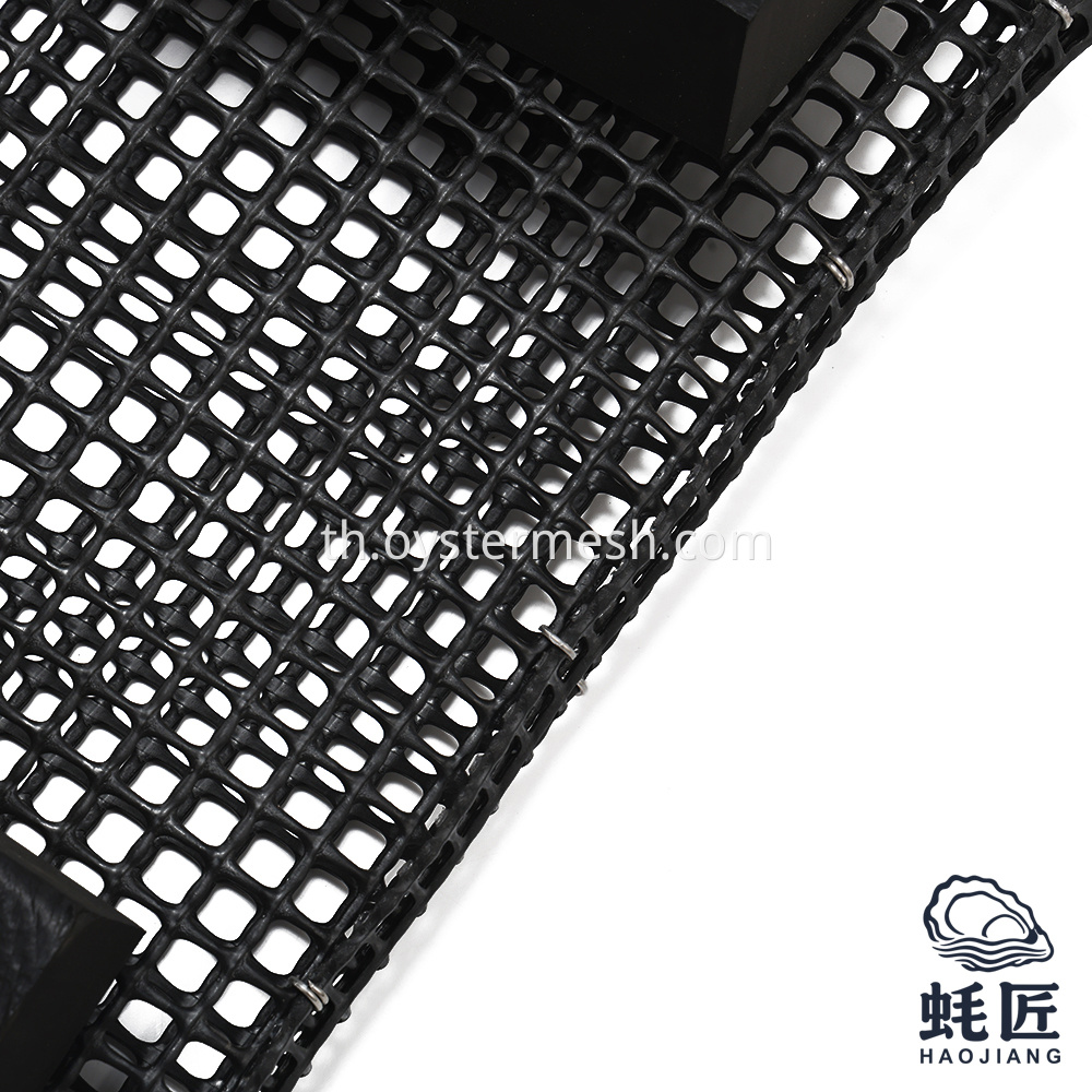 Details of Oyster Grow Out Bags Foam Bags (2)